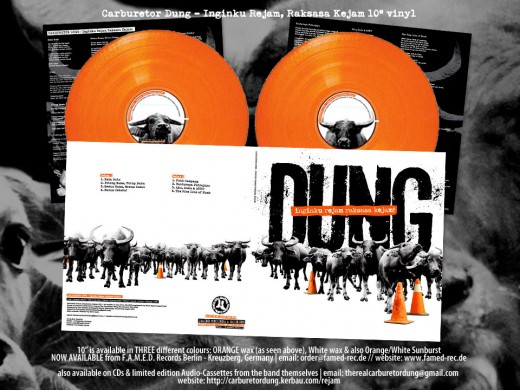 DUNG 10" Advert NEW