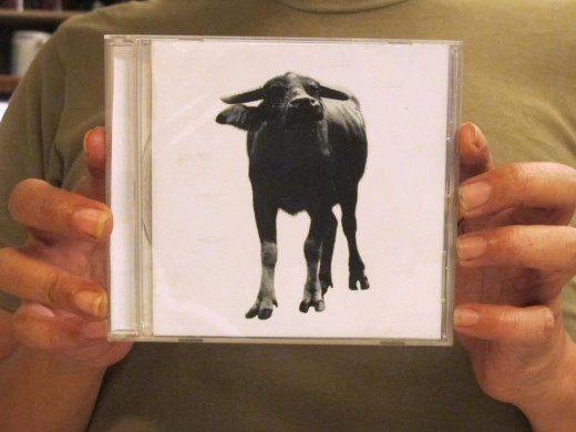 303475_10151397946275567_171705978_n-1