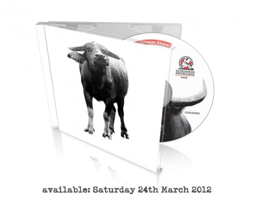 430285_10151364423945567_802050173_n